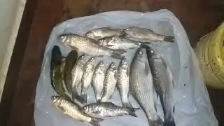 pullan|kuruva paral|manjakoori