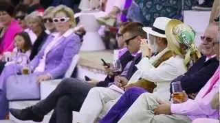 Pink Polo Event