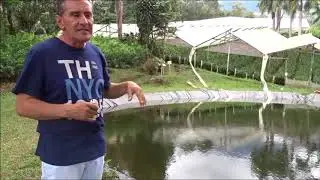 Buenas practicas en cultivos de follajes