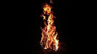 Cool music with fire background - My Fire Work #mdmarufibnamamun #themmimb