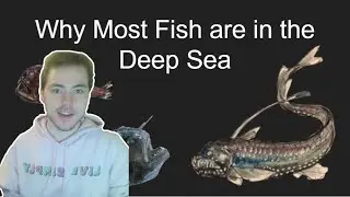 Why are most fish in the deep sea?