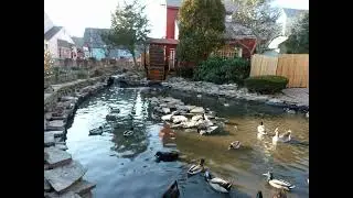 Shop and Dine at Olde Mistick Village