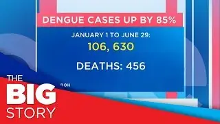 DOH declares Dengue Alert nationwide