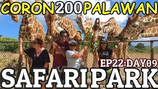 Coron Palawan 2020 | Calauit Safari Park | EP22:DAY09