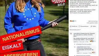 EU Wahl 2019   Der gro&szlig;e Kater Tag danach, Nachspiel mit Misst&ouml;nen