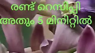 ഇന്നൊരു തീയ്യൽ റെസിപ്പി കണ്ടാലോ❤️ making video
