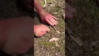Learn how to make a bushcrafted tent peg with Josh! 🔪