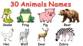 Animals and Their Habits | 30 Animal Names | Easy English