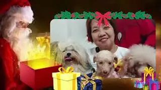 2022 year end memories