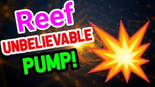 Reef Unbelievable Pump!! Today || Reef Price Prediction || Crypto News Today