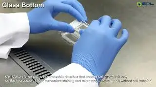 SPL Cell Culture Slide