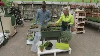 Moestuintje op je balkon  - IK BBQ VOOR JOU!