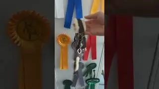 New Equipment Haul  #hobbyhorse #horse #hobbyhorseedit #equestrian #hobbyhorsing #kht #hh #haul