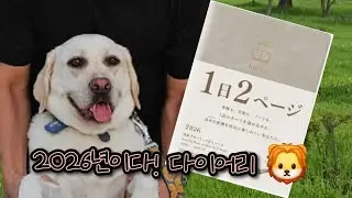 다이어리 벌써 나왔다이 2026 히호