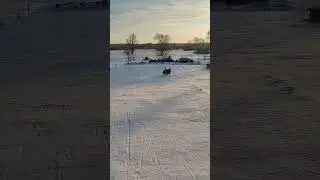 МОЛОДШИЙ КАТАЄТЬСЯ НА САНЧАТАХ І Я РАЗОМ З НИМ...