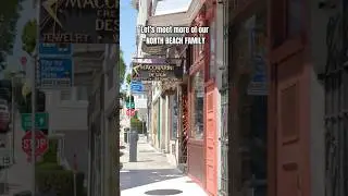 Meet the North Beach family 💫