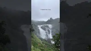 Mallalli Waterfalls Coorg | Top places to visit in Madikeri Coorg #coorg #mallallifalls