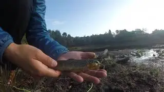 Outline Flyfishing & Redington Form