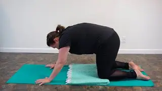 Yoga and the Voice - Cat/Cow & Robin's Breath (Ruth L. Carver)