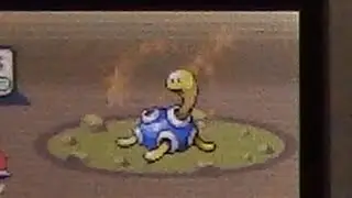 Live Shiny Shuckle 7572 REs
