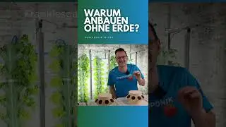 Dieses Video ist der Einstieg in meine Hydroponik Serie.🌱Hier siehst du einen Ausschnitt. 🥕