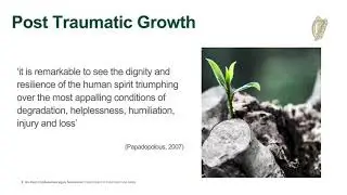Post Primary wellbeing webinar