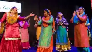 Ladies Cultural Night 2019 (Woman Care Trust NZ)