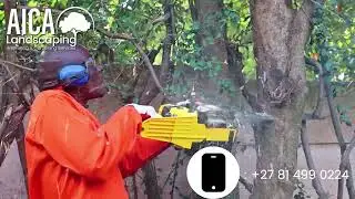 Professional Landscaping & Gardening Services in Gauteng