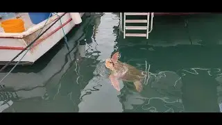 Best Boat Trip In Fethiye Turkey #travel  #traveling  #t&uuml;rkye