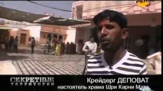 Секретные территории №4. Крысы. Подземный разум (03.02.2011)