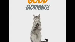 Good Morning animation video free download