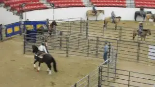 DSCN0646