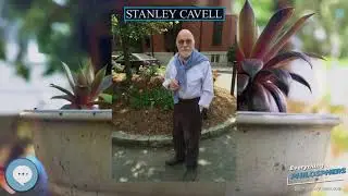 Stanley Cavell 👩&zwj;🏫📜 Everything Philosophers 🧠👨🏿&zwj;🏫