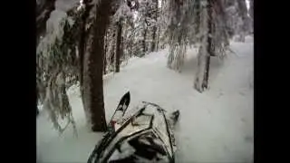 Snowmobile Polaris pro rmk 800 skjutf&auml;ltet / &Auml;lvdalen / sweden