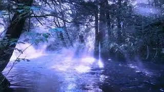 Edward Skeletrix Free For Profit Skeletrix Island Type Beat