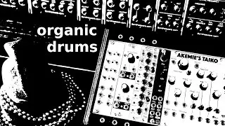 Akemie's Taiko - living and organic drums (Eurorack, IDM/Glitch, Euclidean rhythms, dawless)