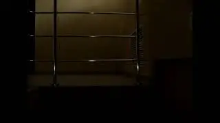 MOV08321
