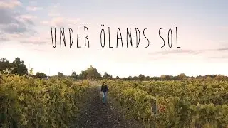 Under Ölands sol