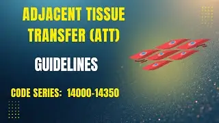 Руководство по переносу смежных тканей (ATT) CPT: Код серии 14000-14350