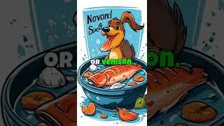 Transform Your Dog&rsquo;s Itchy Skin: Best Foods to Combat Allergies!