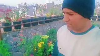 #chrysanthemum #gardening #rooftopgardenindia #rooftopterrace #viralvideo #trending
