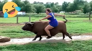 Try Not To Laugh 🤣 Top 100 Funniest Videos Ever 😂 | Funny Videos Compilation 2026 #25