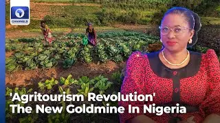 Xtralarge Farms: Why Nigeria's 'Agritourism Revolution' Is The New Goldmine
