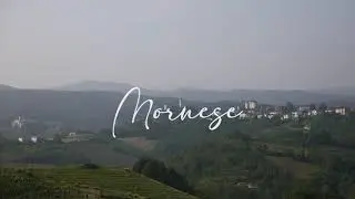 MORNESE
