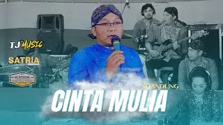 CEK SOUND !!!!! CINTA MULIA - NDANDUNG - TJ MUSIC ( Official video live ) - AS OFFICIAL HD
