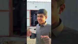 كشته نفود وفياض سلطان وابو سعران