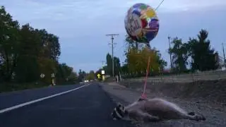 Get well, soon. Please, would you now? Here is a balloon.