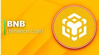 What is BNB?