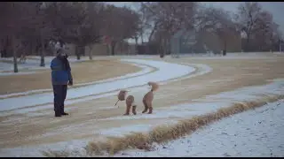 4K | 2026 Texas DFW Winter with Snow and ICE | Canon R8 + FD 85mm f1.8 | DJI Action 4
