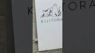 Kijitora Shop In Brooklyn | Matcha Time.!!
